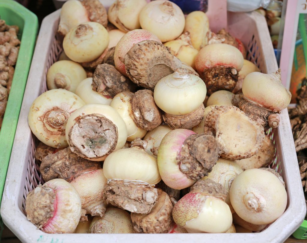 Harvested Root